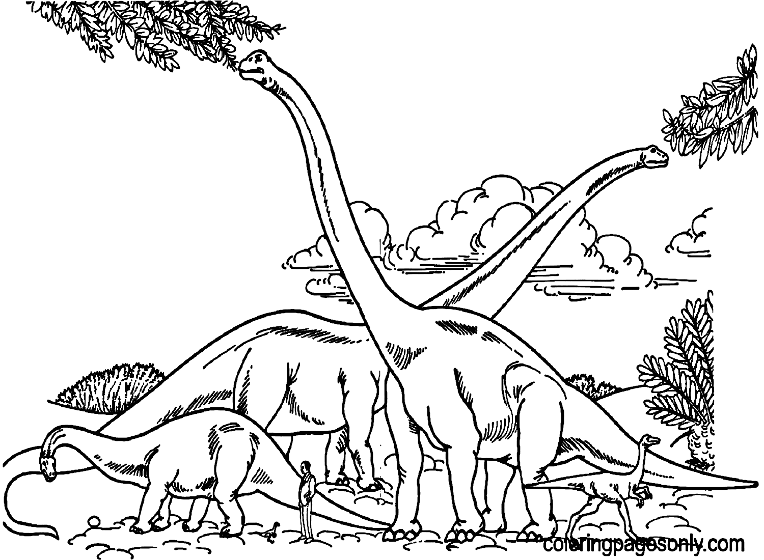 Barosaurus Hypselosaurus and Gallimimus Comparison With Human Coloring Pages