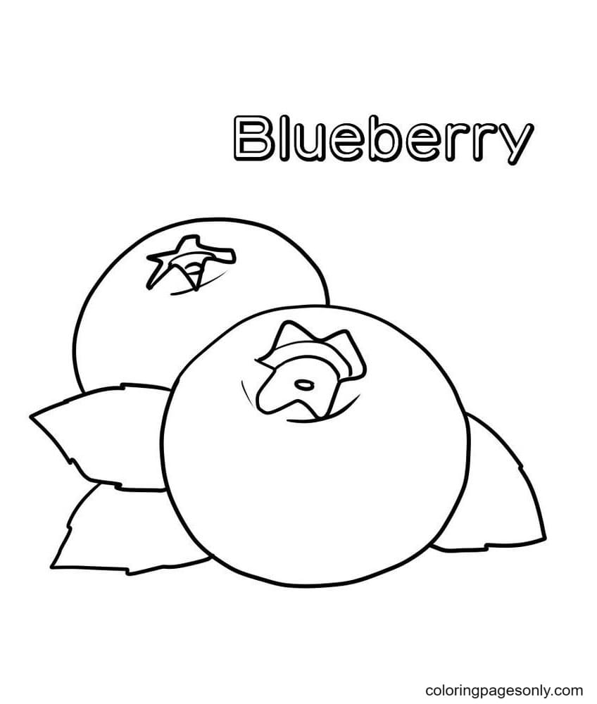 蓝莓彩页