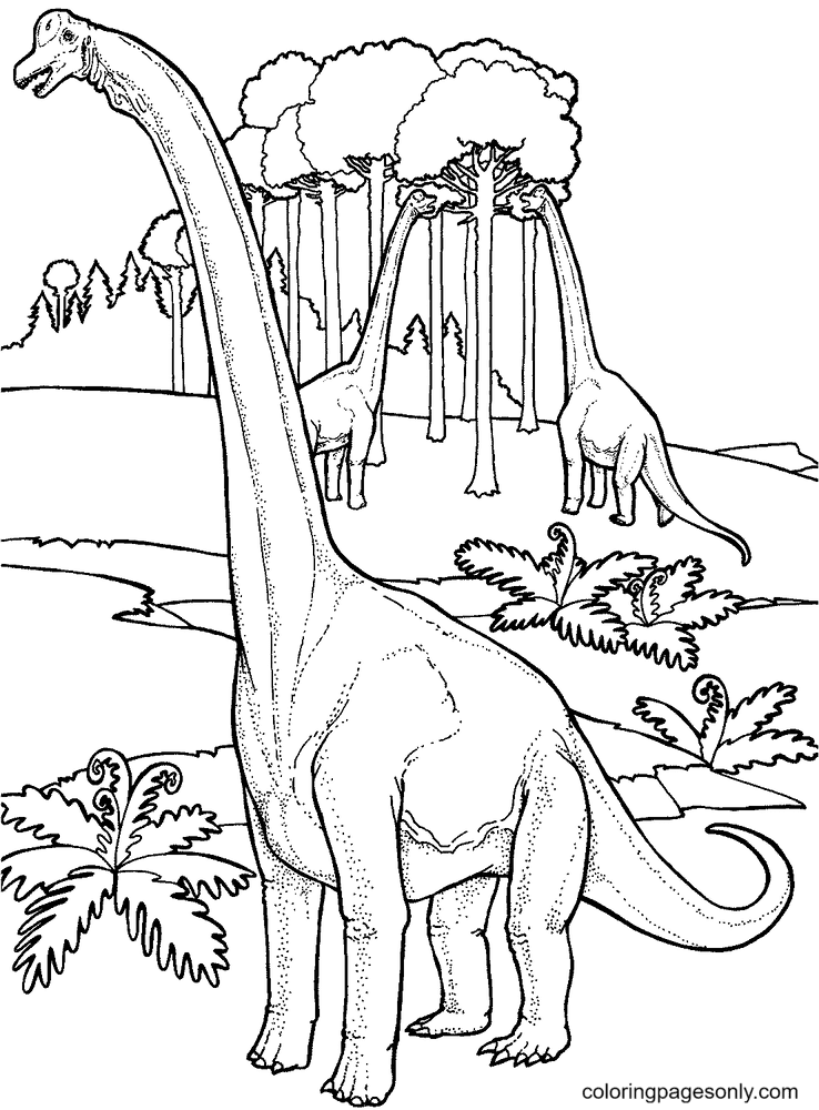 Brachiosauruses بالقرب من الشجرة في صفحة تلوين العالم الجوراسي
