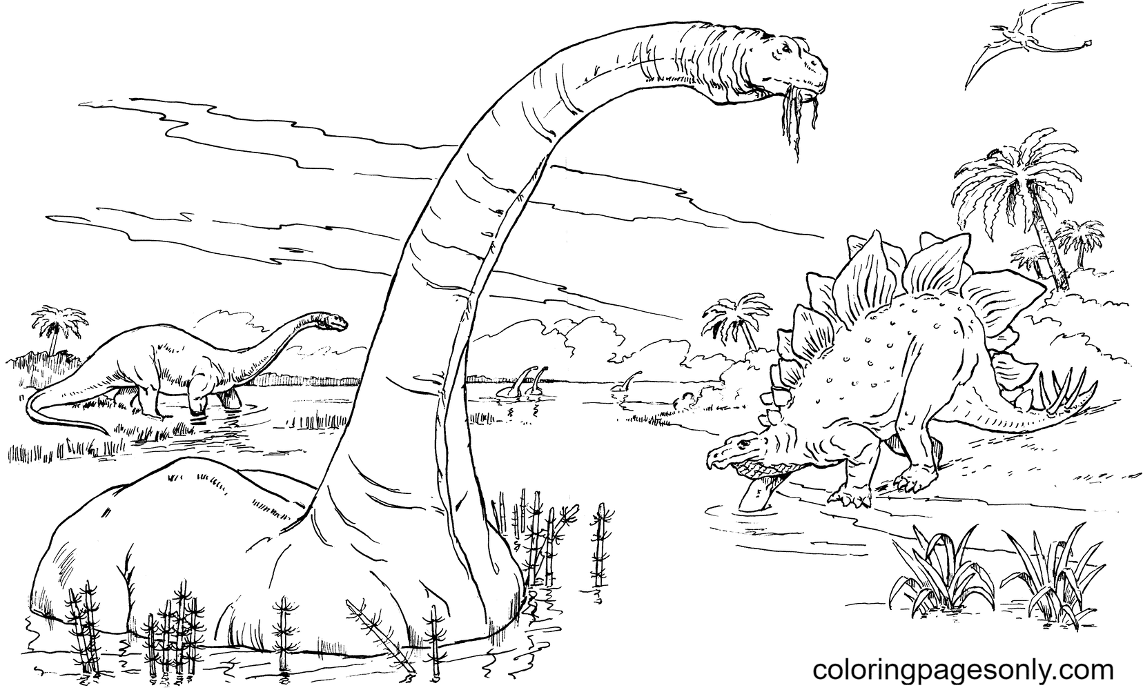 Brontosaurus-Apatosaurus, Rhamphorhynchus and Stegosaurus Coloring Page