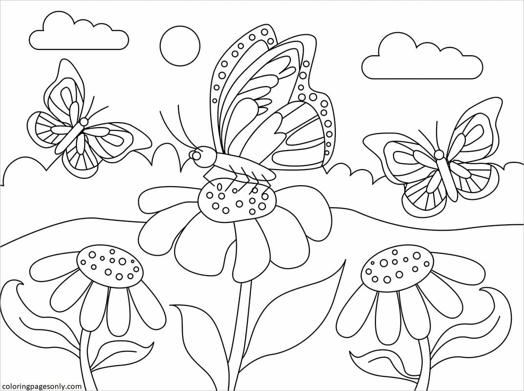 Mariposa 4 Página Para Colorear