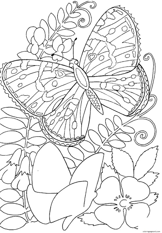 Papillon parmi les fleurs de Butterfly