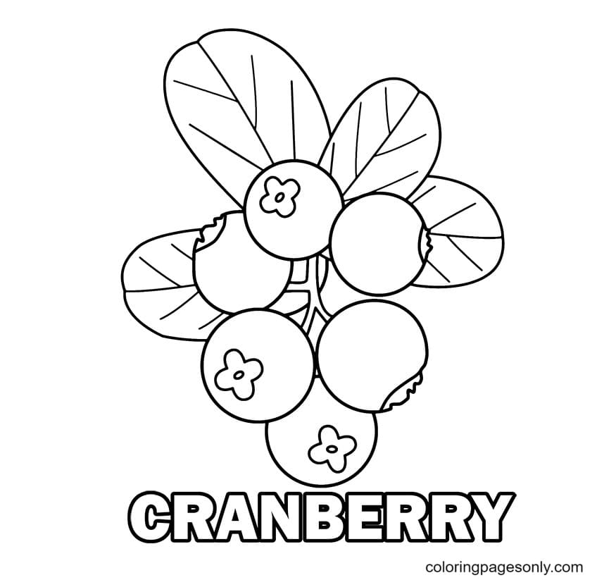 Cranberry kleurplaat