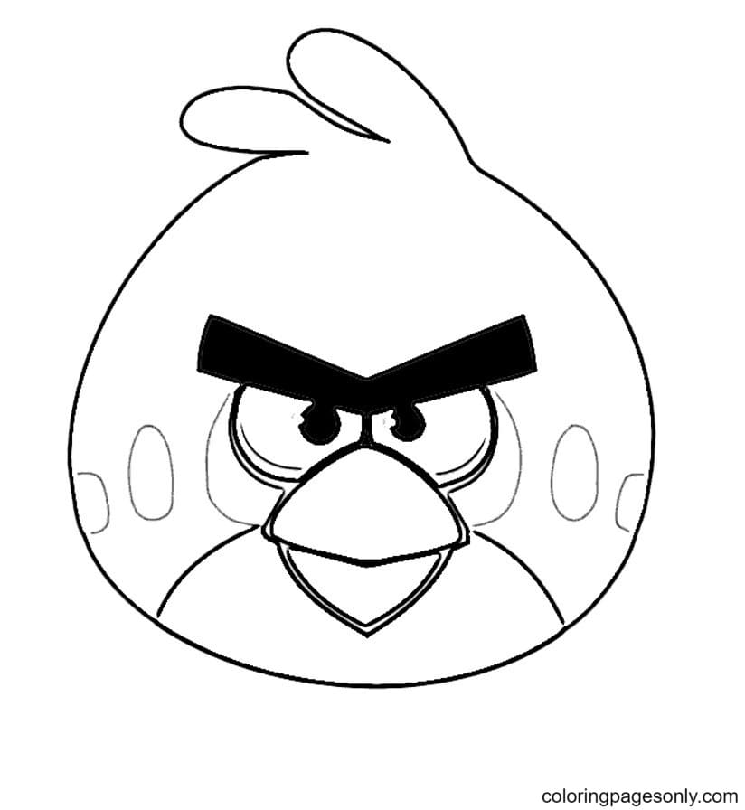 Angry Birds downloaden van Angry Face