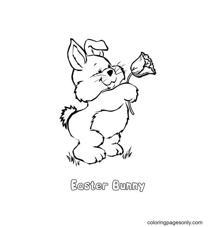 Easy Bunnies Coloring Pages