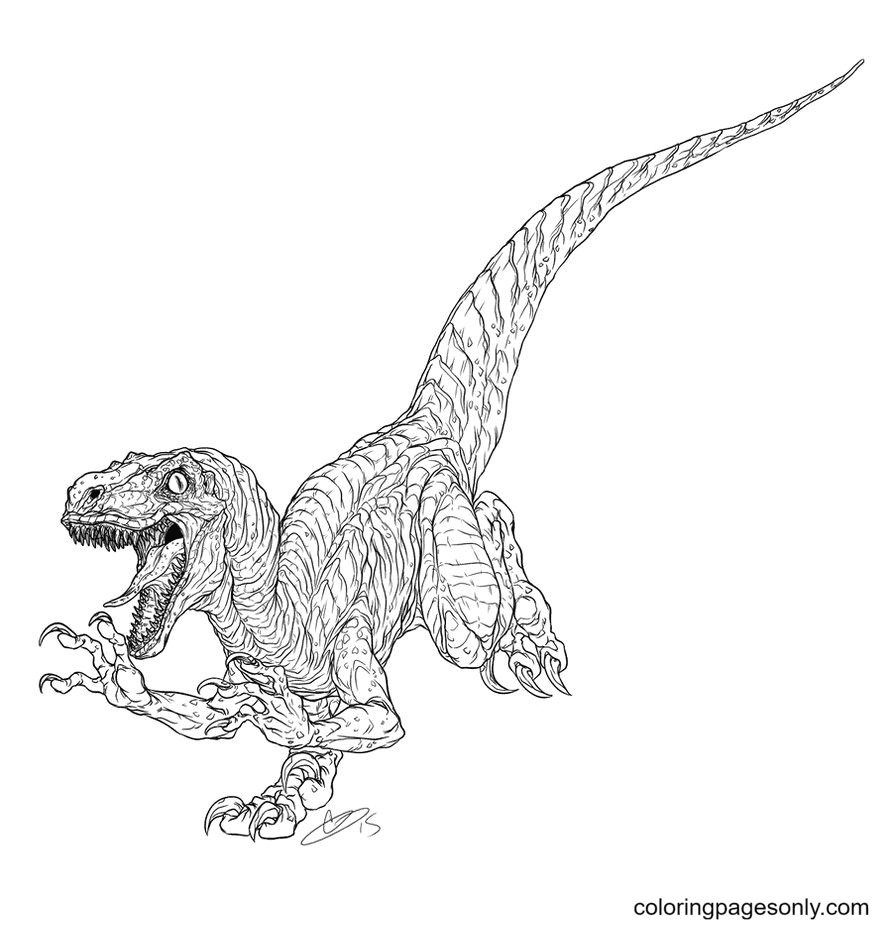 免费侏罗纪世界恐龙着色页