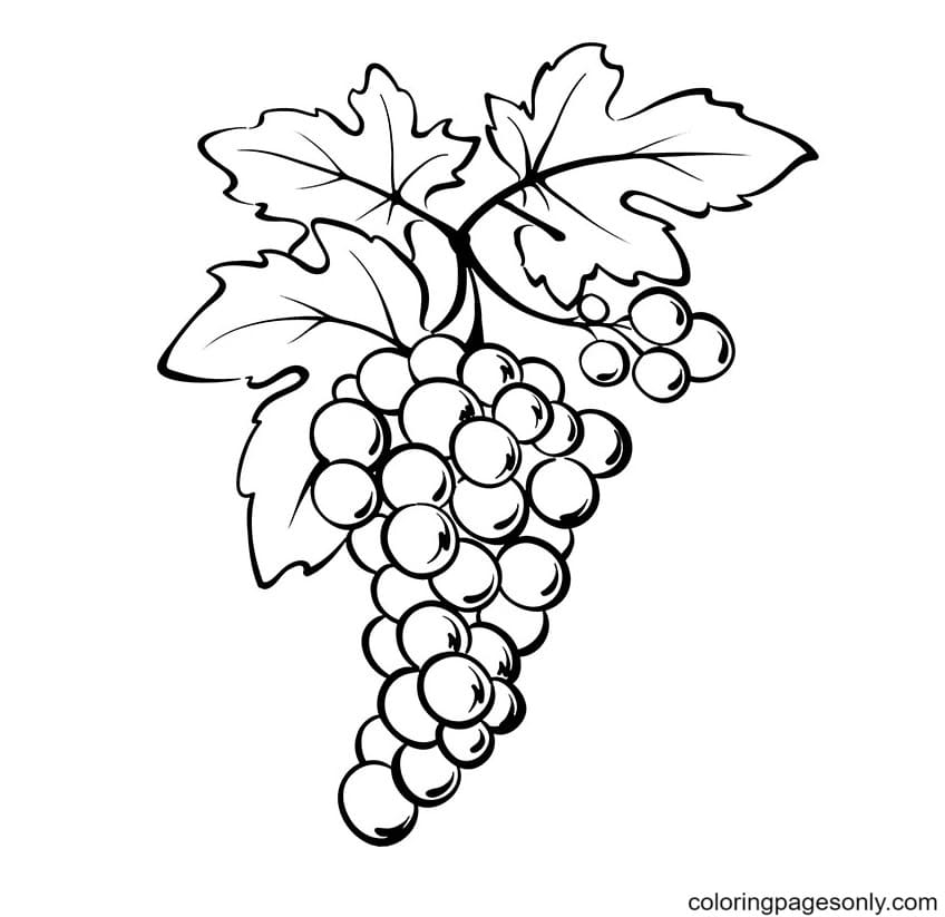 Виноград из тропических фруктов