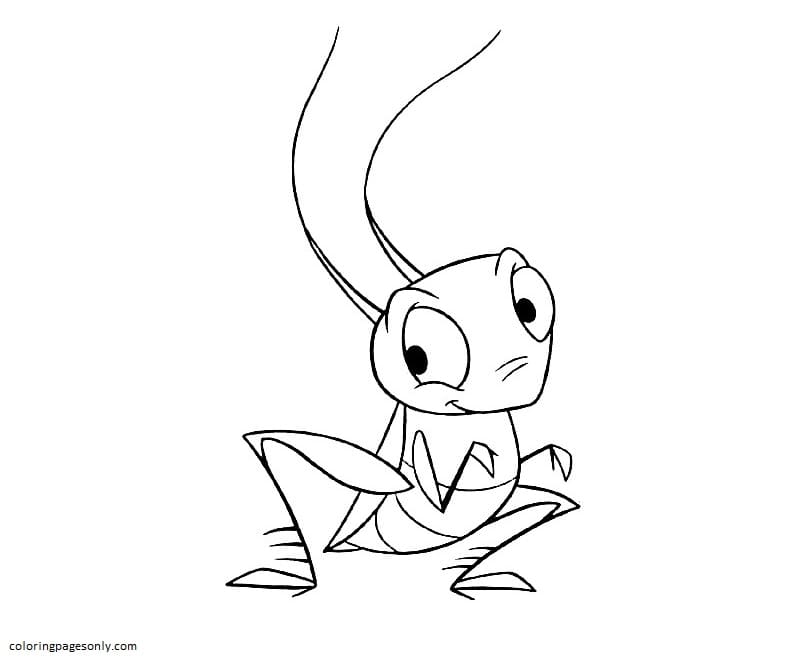 Grasshopper Coloring Pages