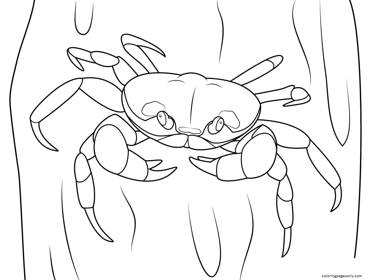Halloween Crab from Crab