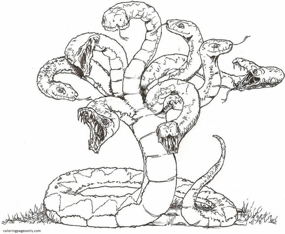 Hydra 2 Coloring Page