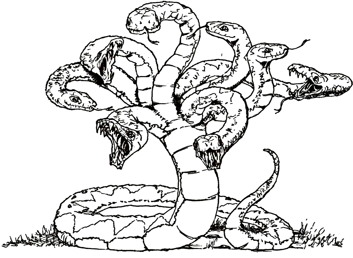 Hydra Picture To Color Coloring Page