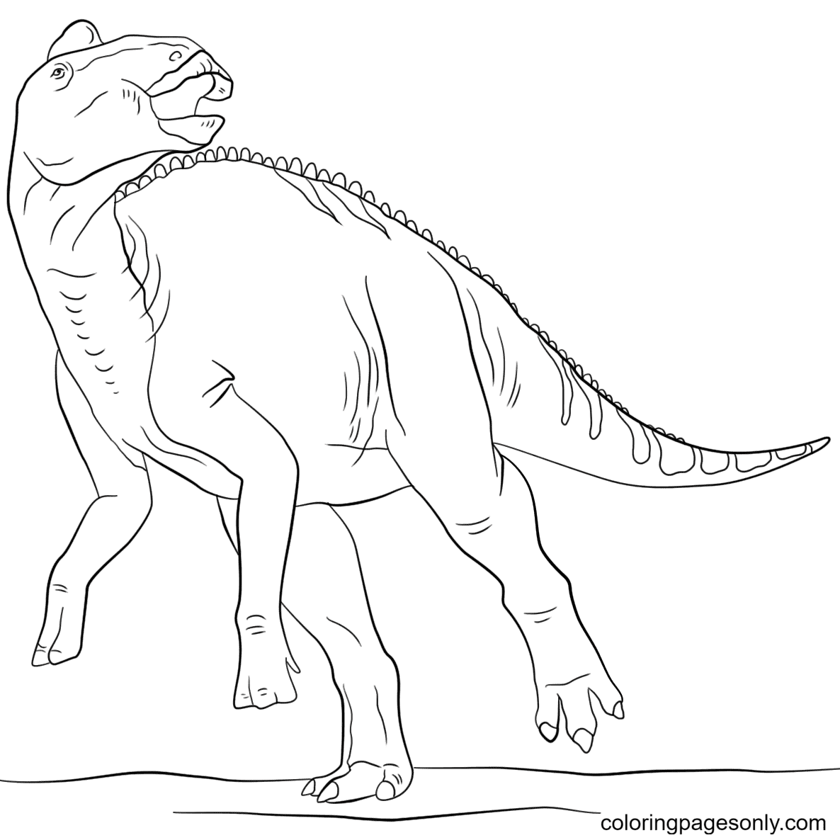 Jurassic Park Edmontosaurus Coloring Page. صفحة التلوين