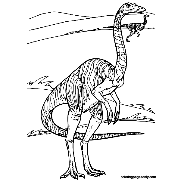 Jurassic Park Gallimimus Dinosaur Coloring Pages