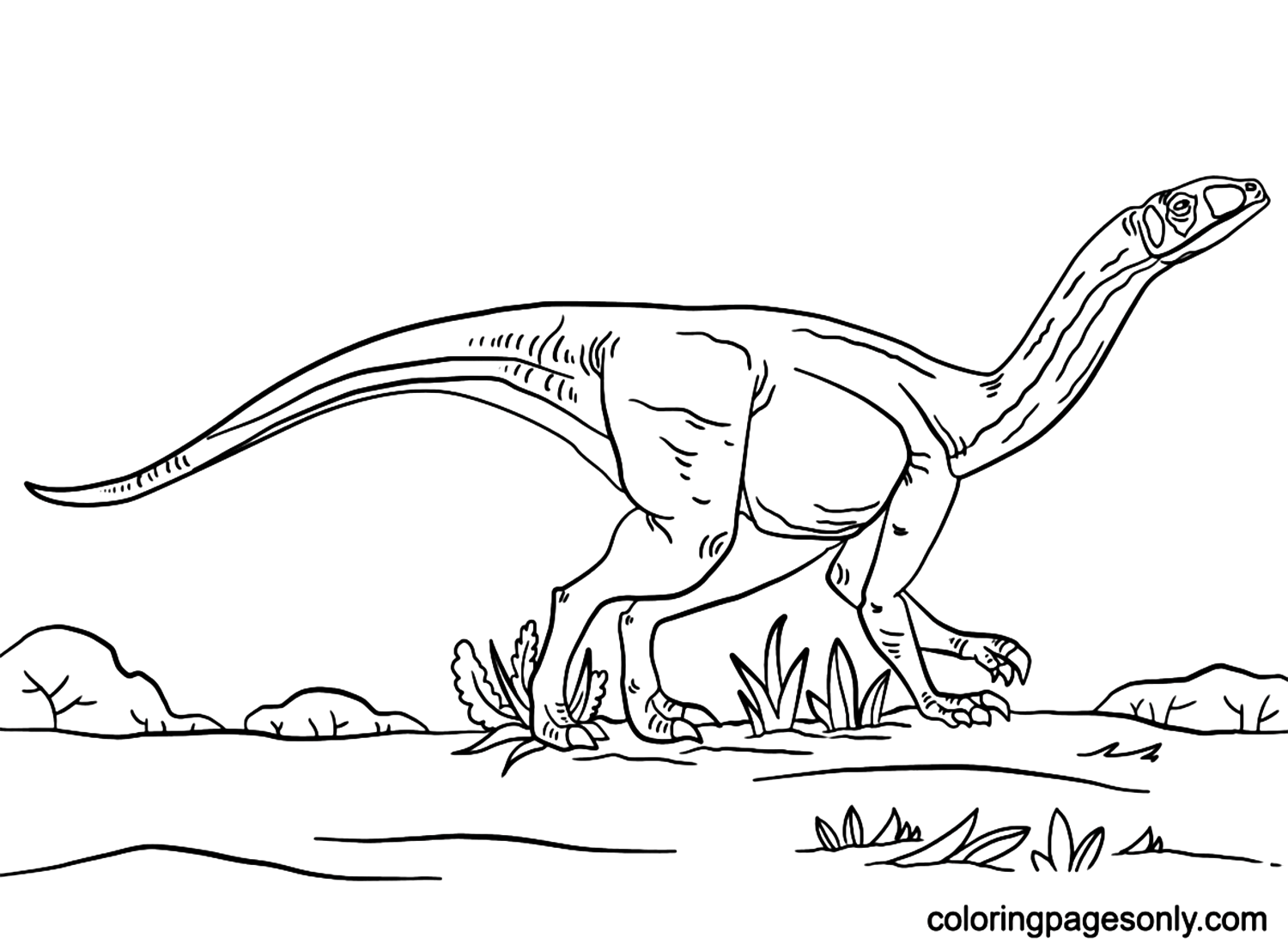 Jurassic Park Mussaurus Coloring Pages