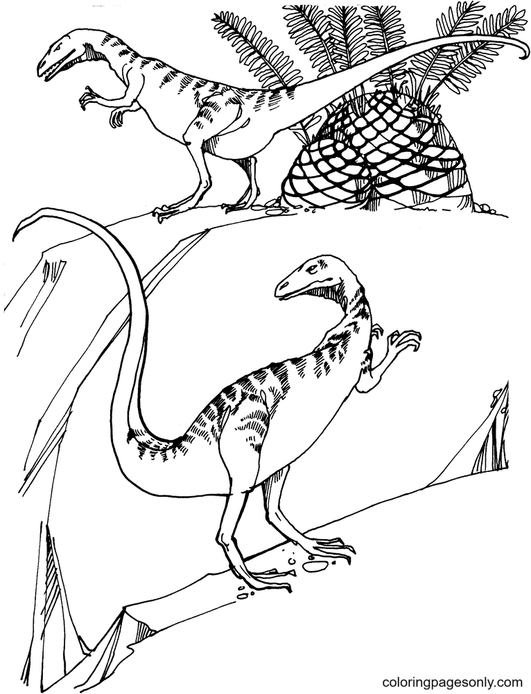 侏罗纪世界 侏罗纪世界 中的美颌龙