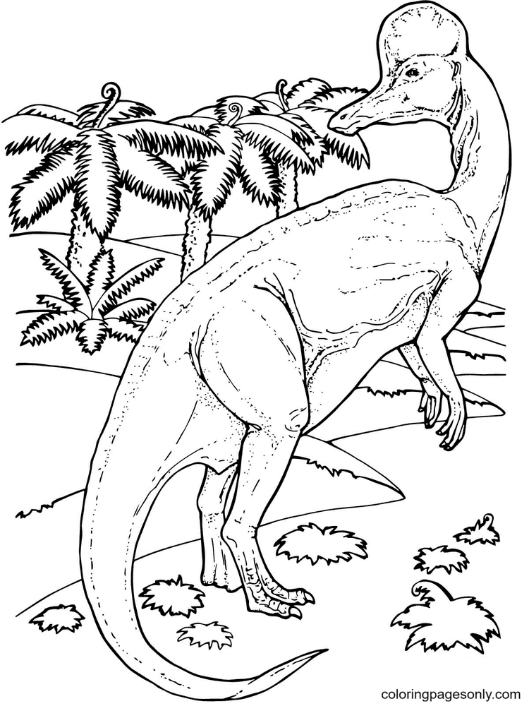Pagina da colorare di dinosauro dal becco d'anatra del mondo giurassico