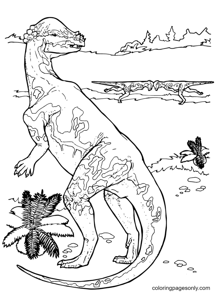 Pagina da colorare del dinosauro del periodo del Cretaceo del Pachycephalosaurus del mondo giurassico