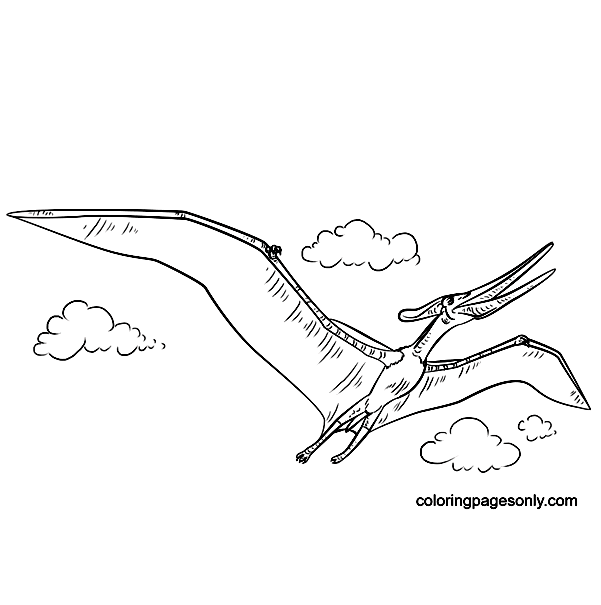 Jurassic World Pteranodon flying Coloring Pages