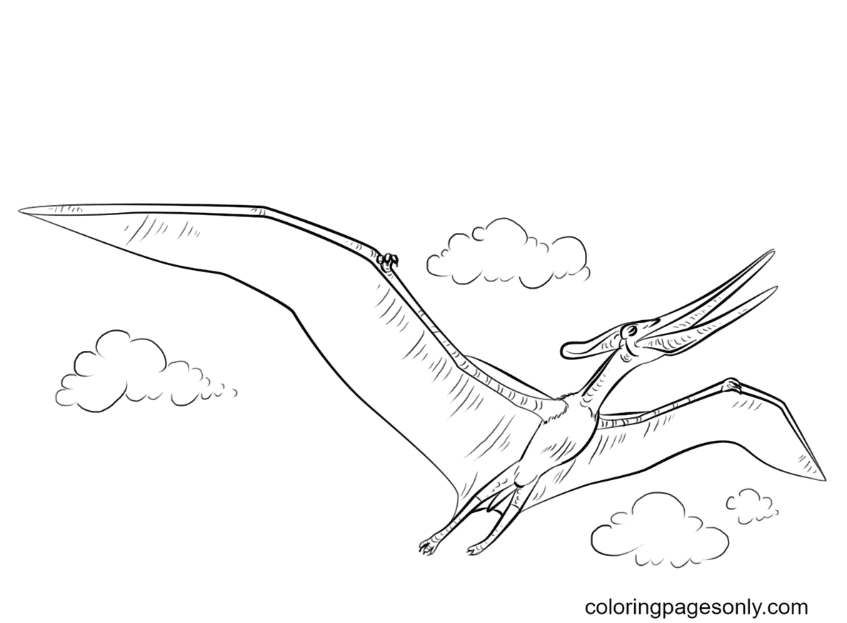 Pagina da colorare volante di Jurassic World Pteranodon