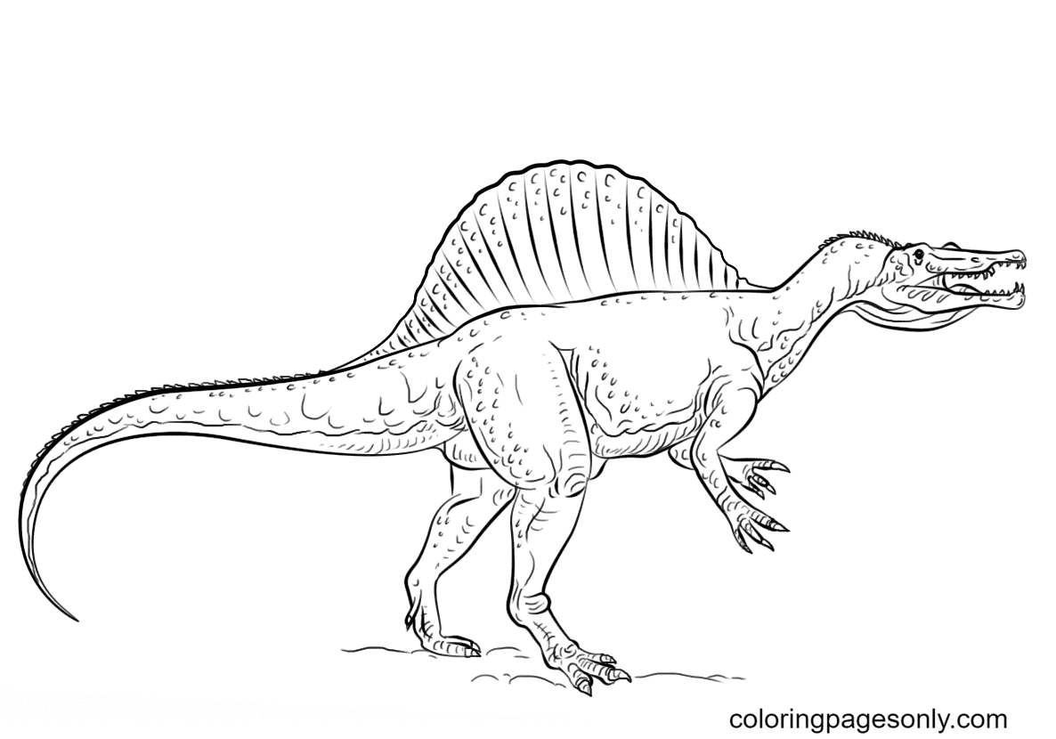 Jurassic World Spinosaurus Coloring Pages Jurassic Park Spinosaurus Jurassic World Spinosaurus Coloring Pages Jurassic Park Spinosaurus