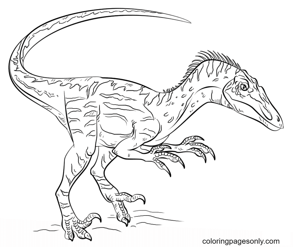 Página para colorir Velociraptor do Jurassic World