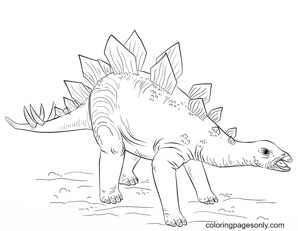 Jurassic World Young Stegosaurus Coloring Pages