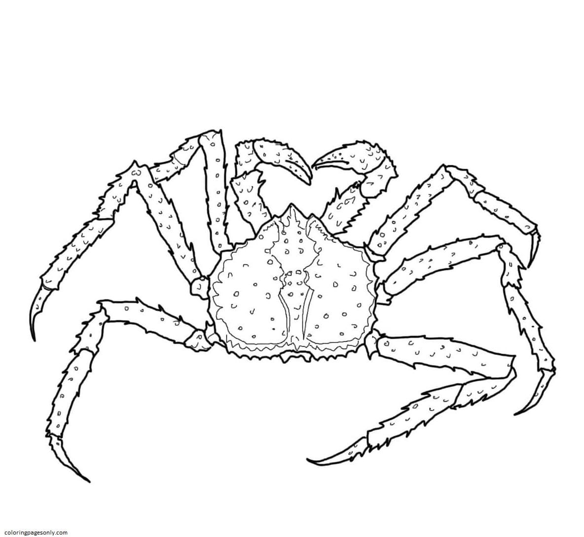 Crab Coloring Pages   Coloring Pages For Kids And Adults