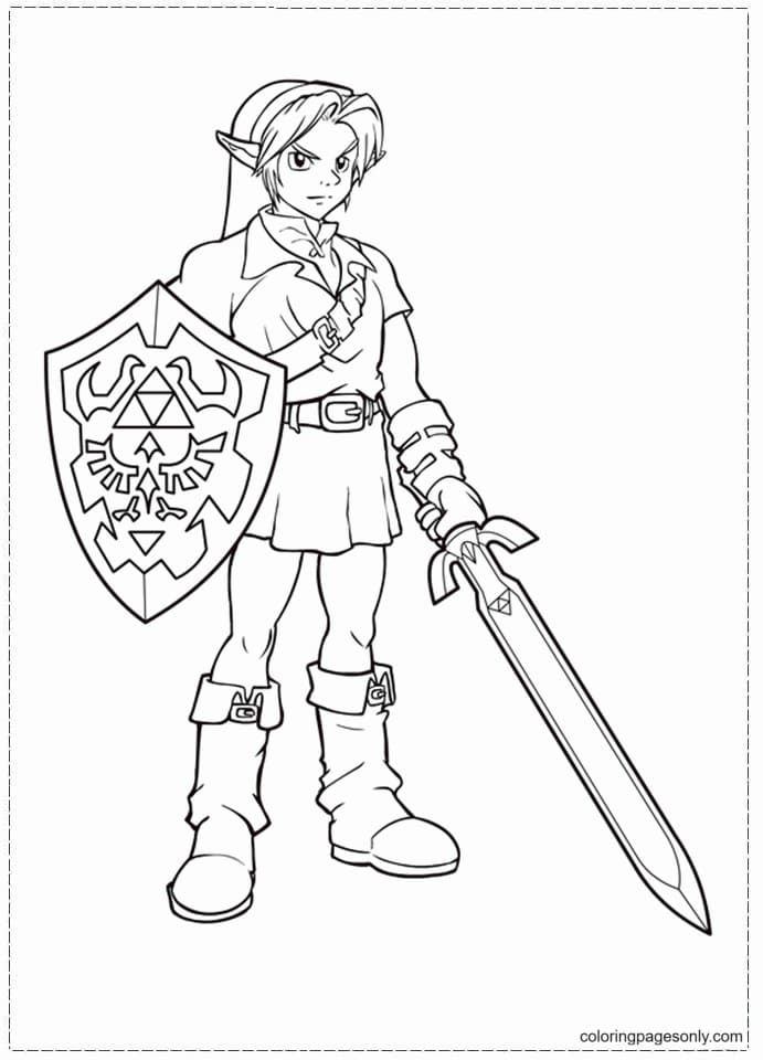 Link from Zelda Game from Zelda