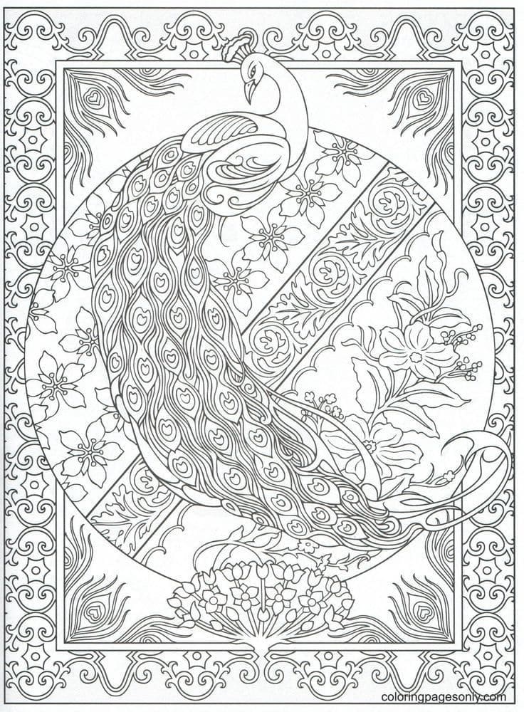 Arte de pavões from Peacock