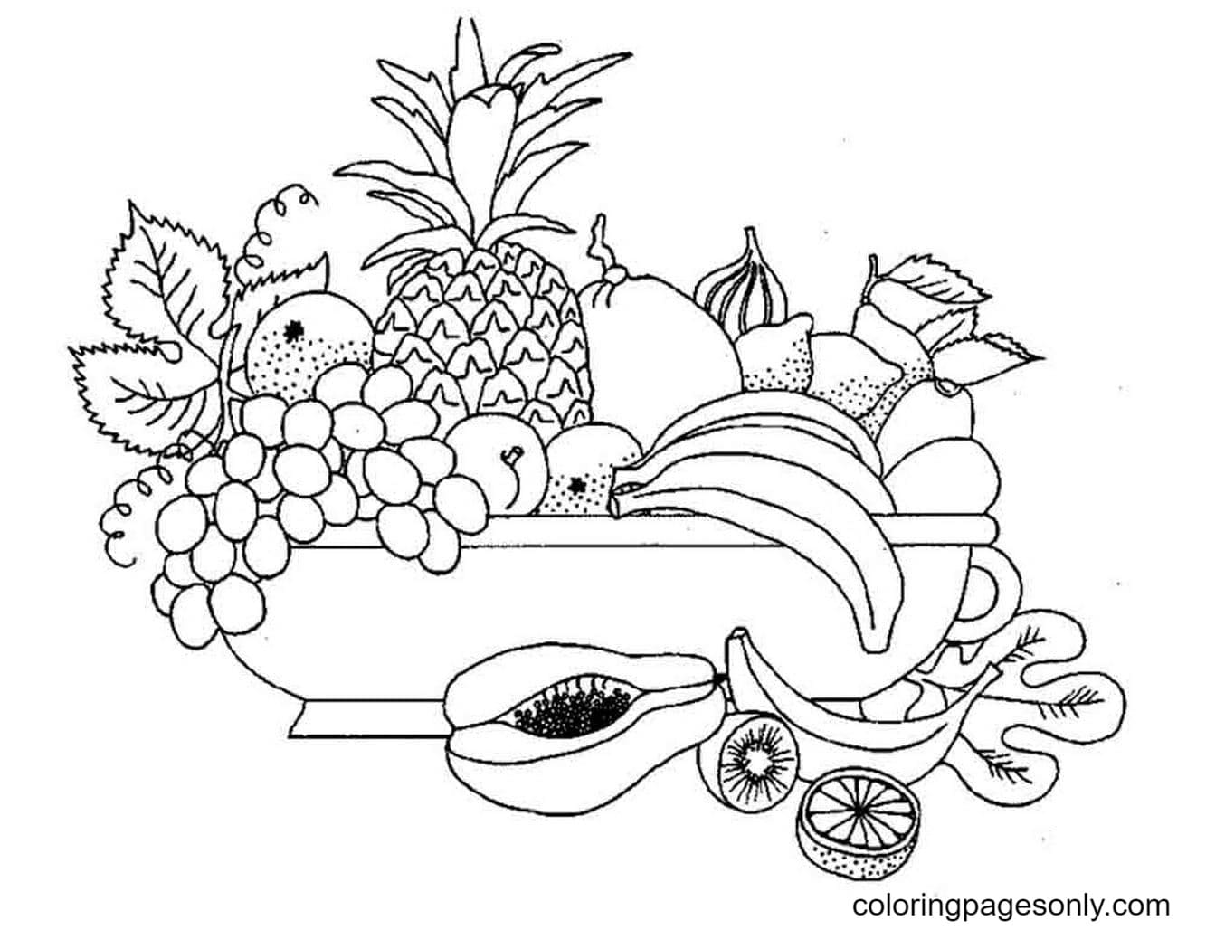 Printable Fruit Pictures Coloring Pages Tropical Fruits Coloring 