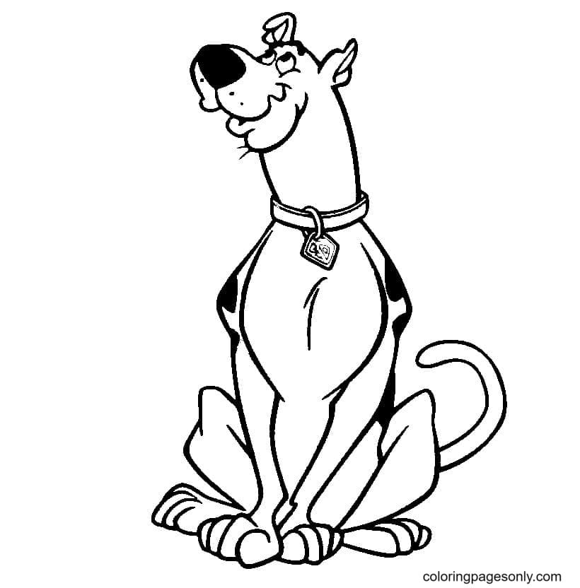 Scooby Doo como um cachorro obediente from Scooby-Doo