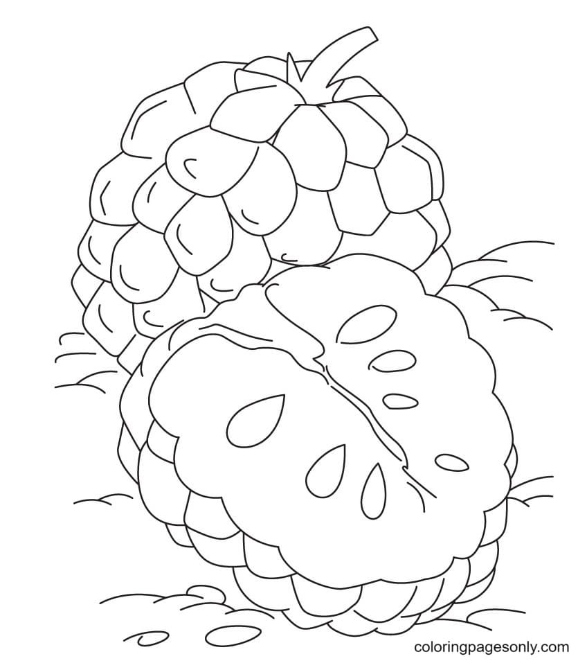 Tropical Custard Coloring Page