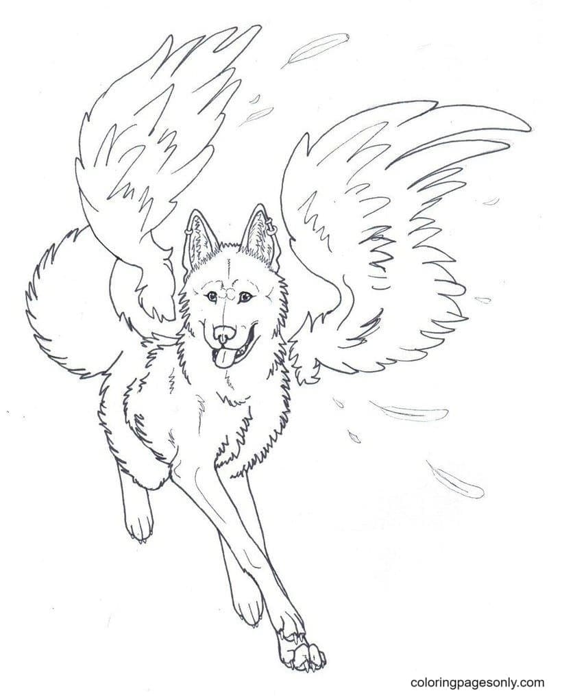 Desenhos de A menina lobo é um anjo para colorir - Desenhos para