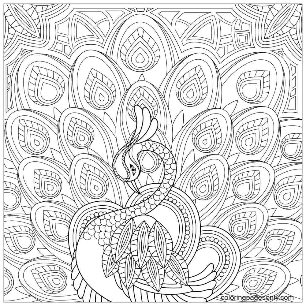 Zentangle Peacock with Ornament Coloring Page