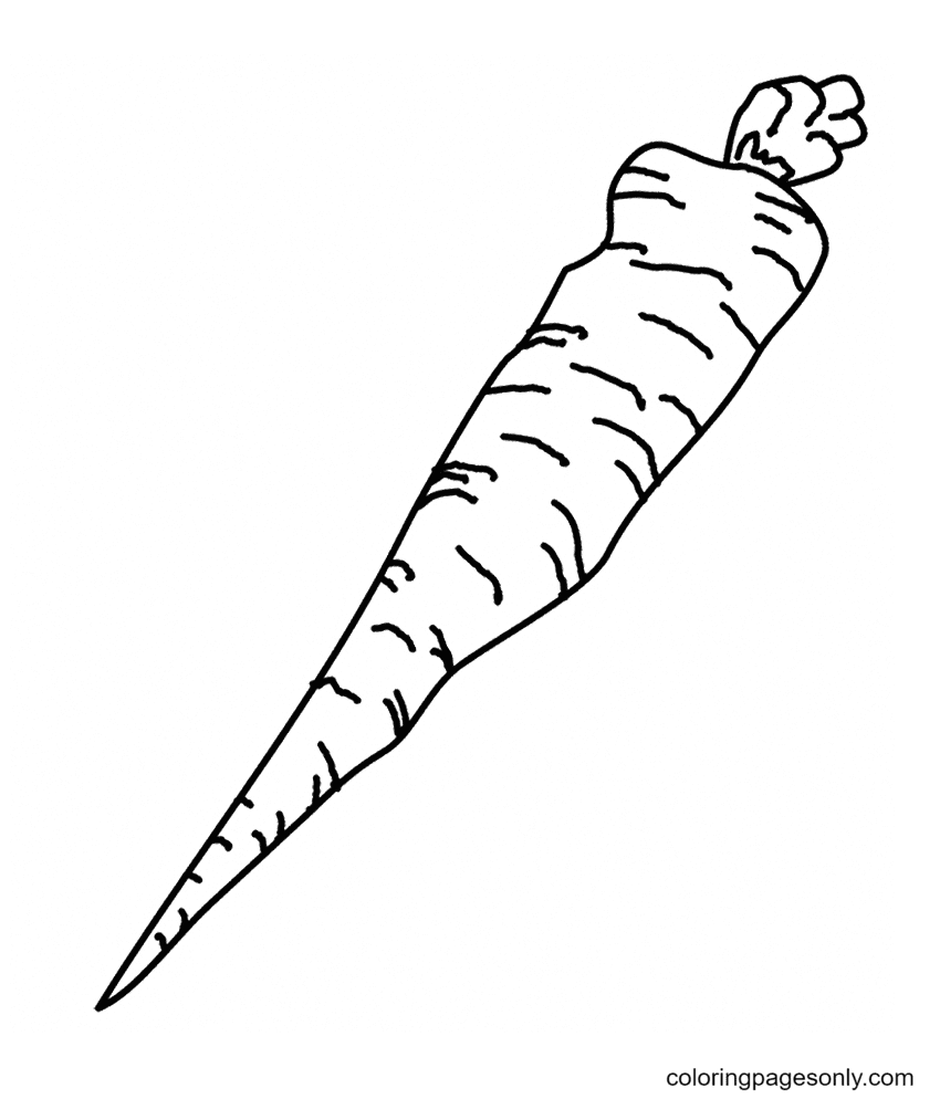A Carrot Coloring Page
