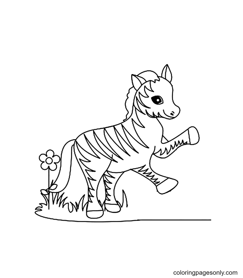 A Funny Little Zebra Coloring Page