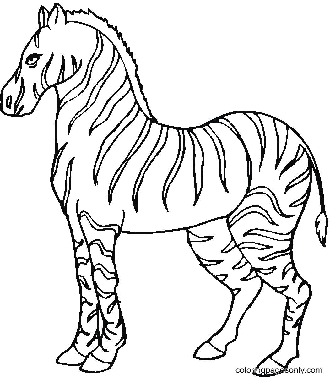 A Strong Zebra Coloring Page