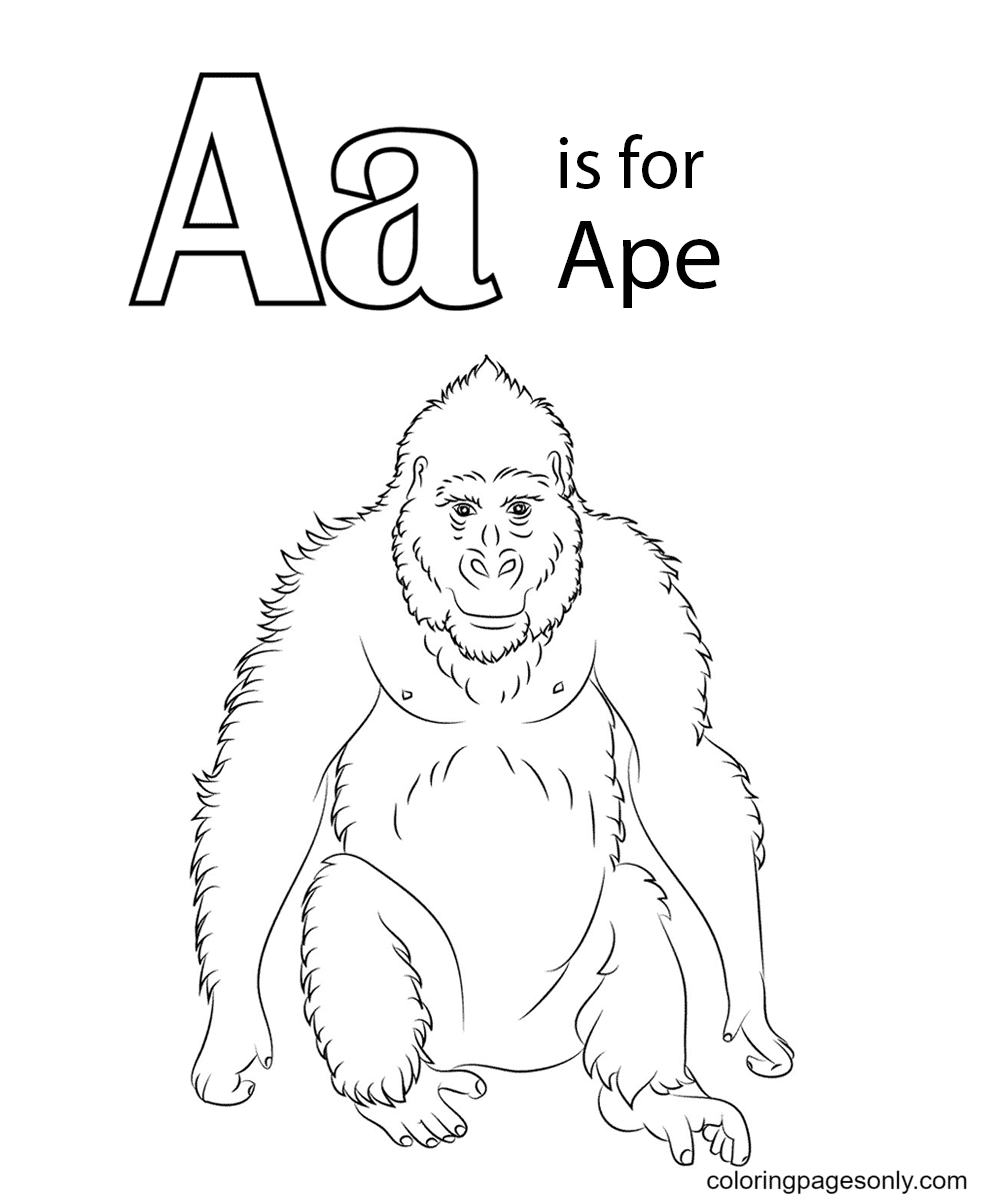 A est pour Ape de la lettre A