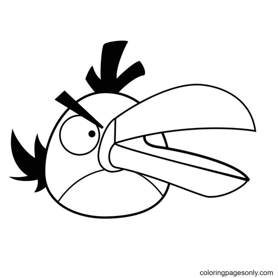 Boomerang Angry Bird With Big Beak Coloring Page