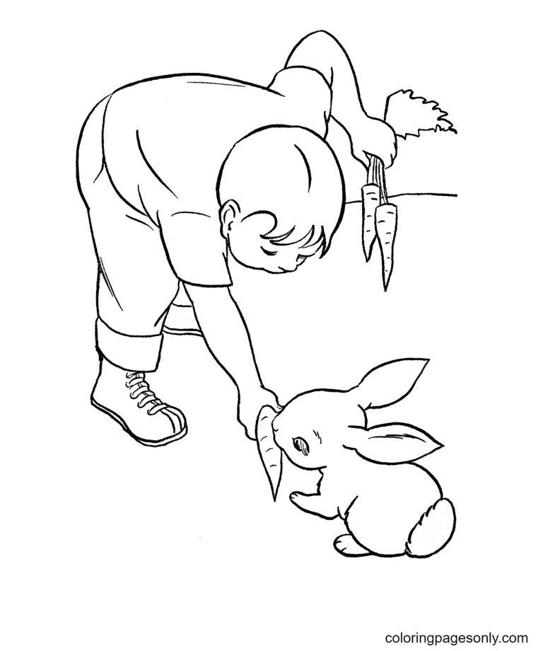 Раскраска Мальчик кормит кролика морковью