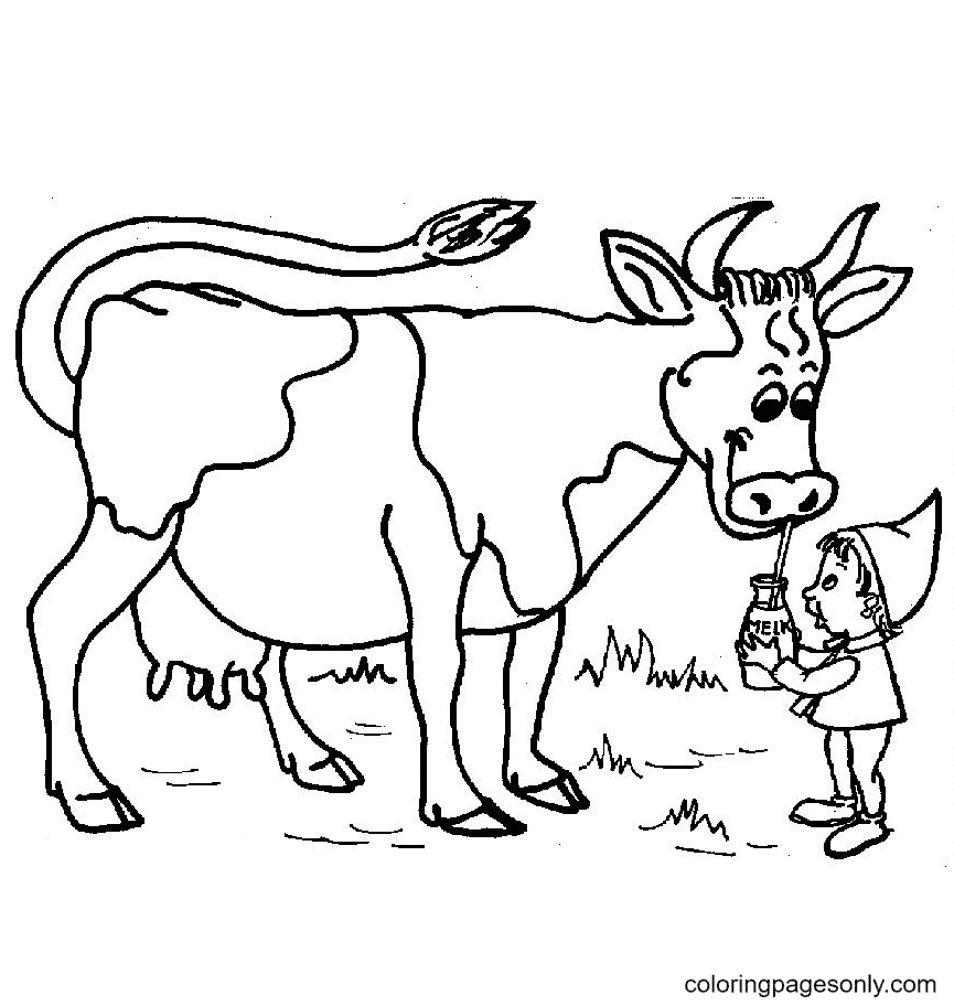 Boy feeding Cow Water Coloring Page