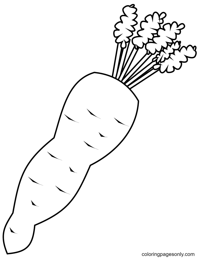 Carrot Free Coloring Page