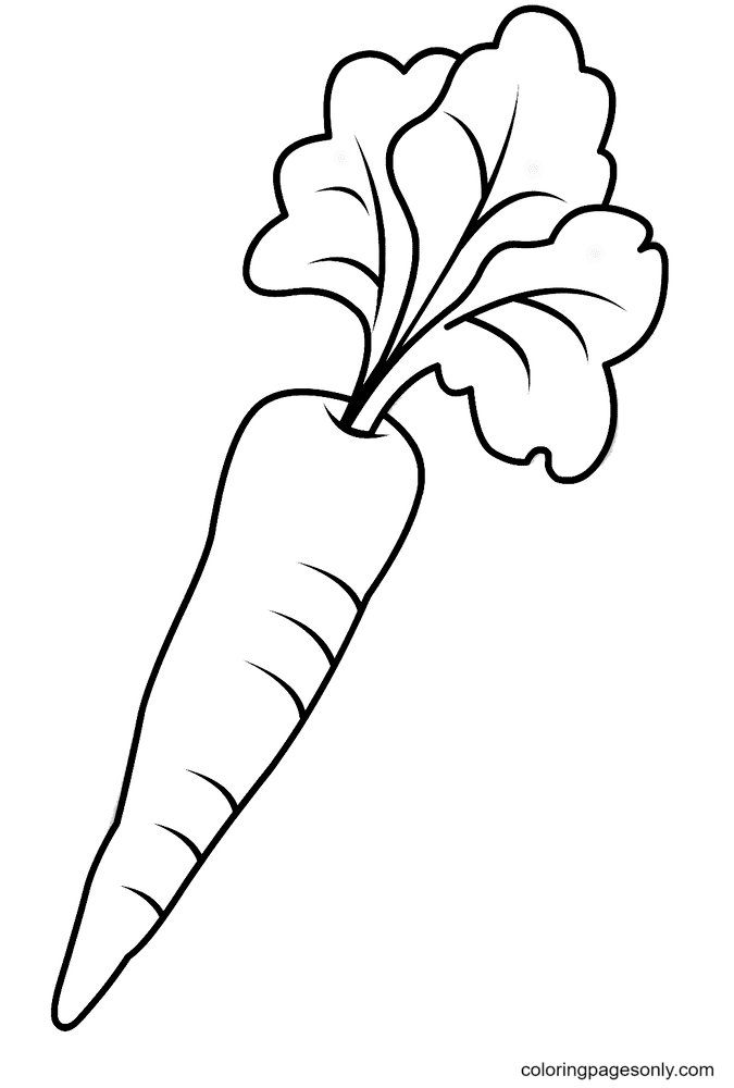 Karottenbilder zum Ausdrucken von Carrot