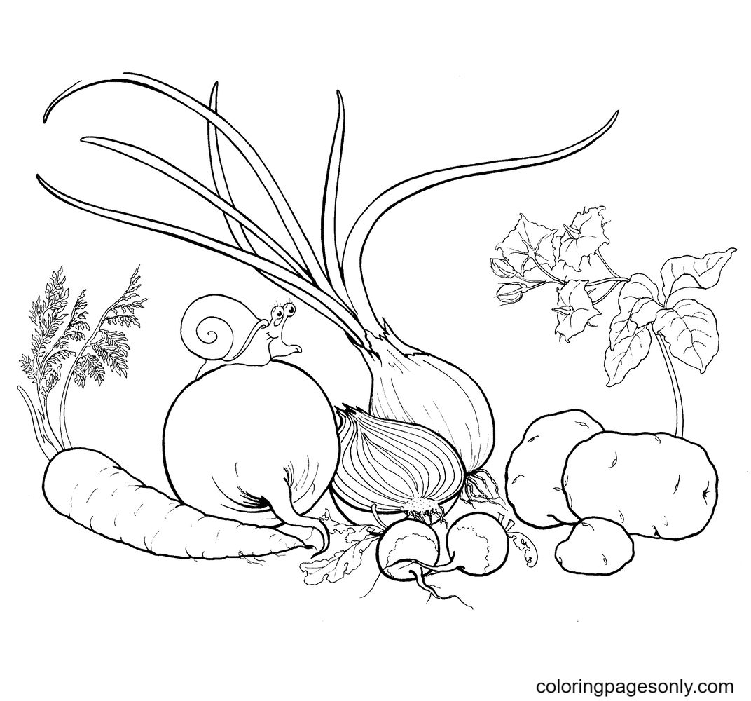 Carottes et beaucoup d'autres légumes Coloriage