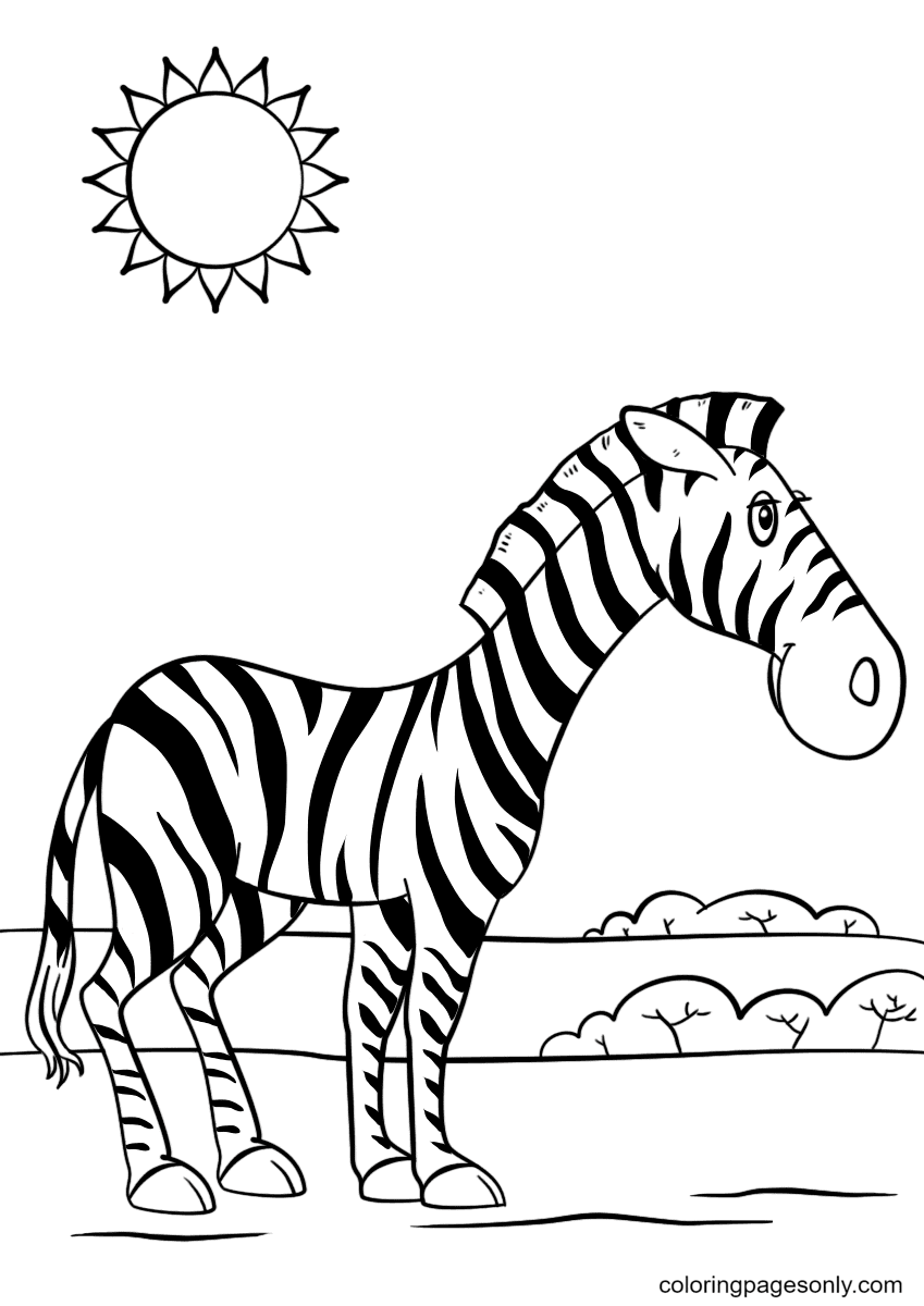 Zebra de desenho animado de Zebra