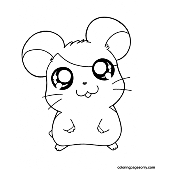 Chibi Hamster Coloring Pages