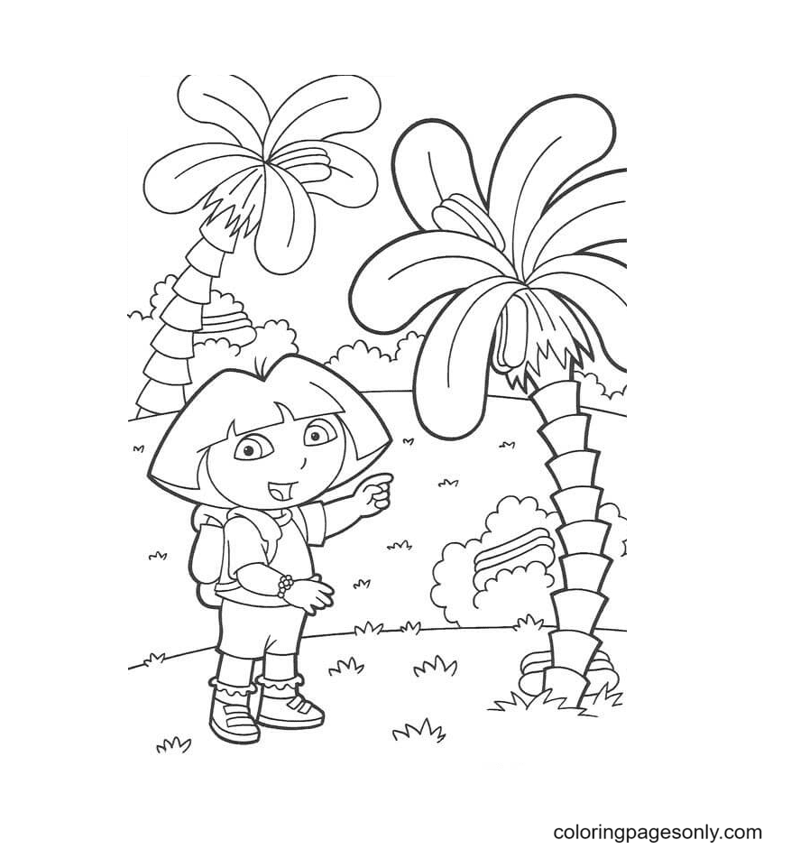 《爱探险的朵拉》中的椰子树