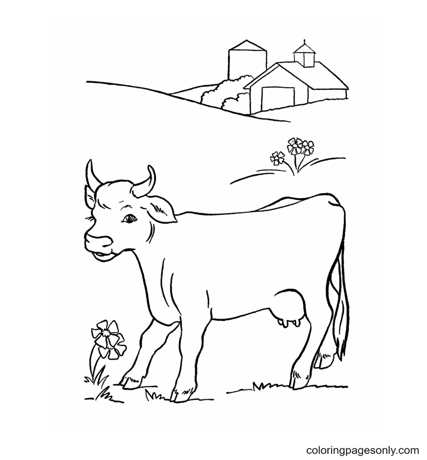 Cow Free Printable Coloring Page