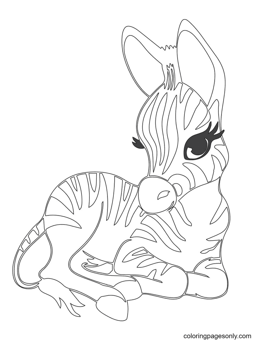 Cute Baby Zebra Coloring Page