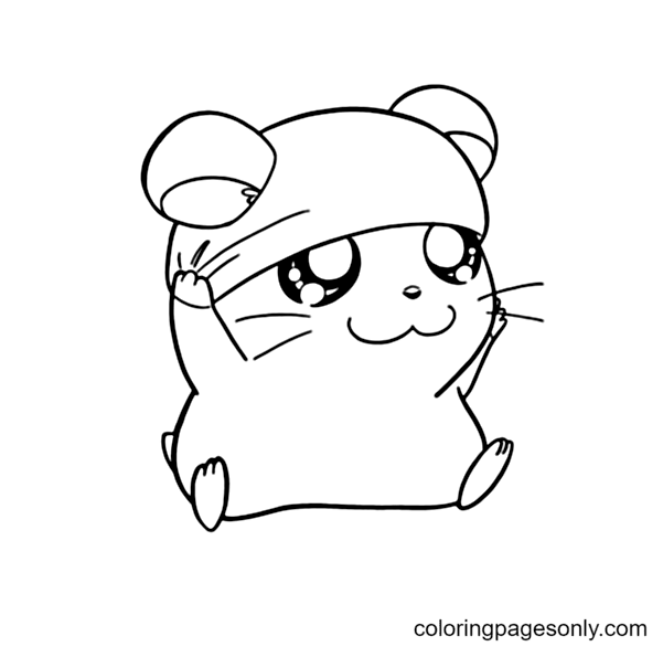 Cute Hamster Coloring Pages
